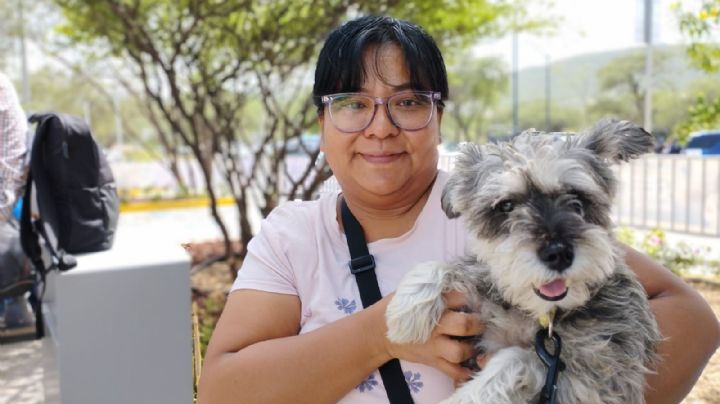 Hospital Veterinario; como en Doctor Simi, a 68 pesos la consulta para perros y gatos