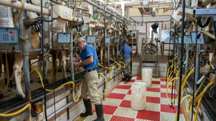 Alpura apuesta al diálogo para evitar huelga tras protestas nacionales