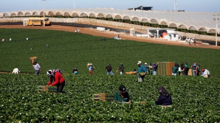 LA Times documenta el agotador “sueño americano” para los migrantes en California