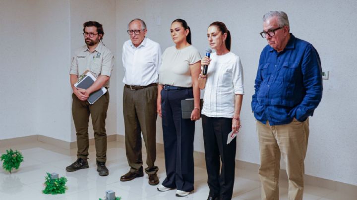 ¿Pero qué necesidad, presidenta Claudia?