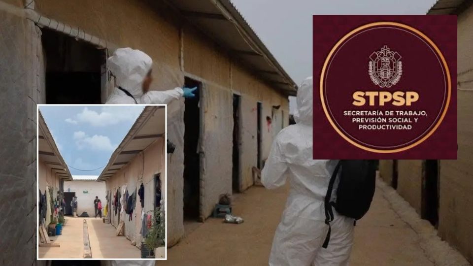 Secretaría del Trabajo de Veracruz aclara que no vinculó a jornaleros agrícolas explotados en Guanajuato