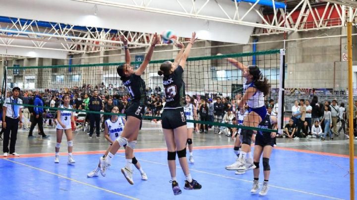 Mil equipos vienen a jugar volibol a León: torneo rompe récord, más de 10 mil jugadores