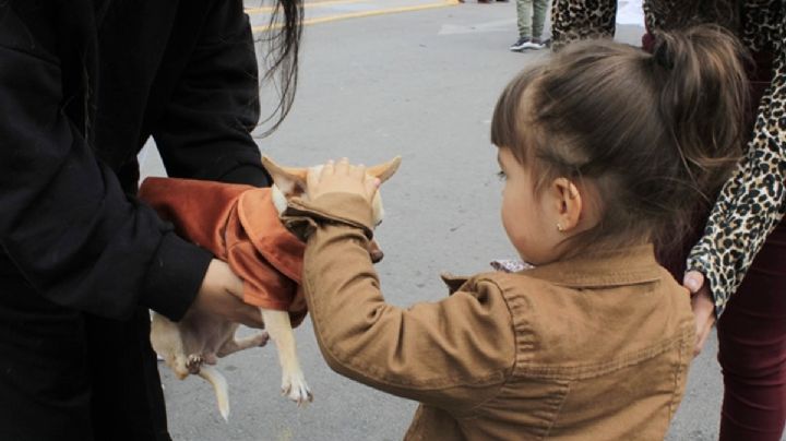 Perrofest celebra “Peace & Dogs”, fiesta por el respeto y amor a los animales