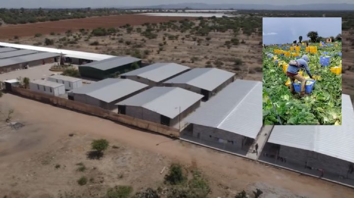 Los jornaleros “rescatados” en Dolores Hidalgo conservan su trabajo