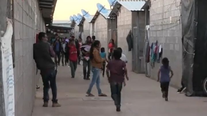 La empresa "explotadora" de Dolores es de China; ya había sido revisada por jornaleros