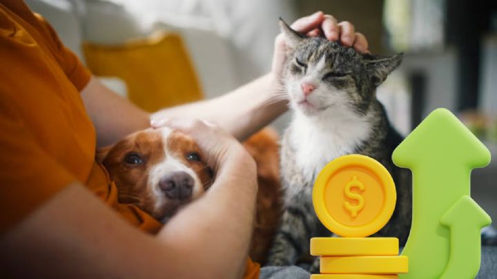 Día Mundial del Perro: ¿cuánto te cuesta al año tener una mascota?
