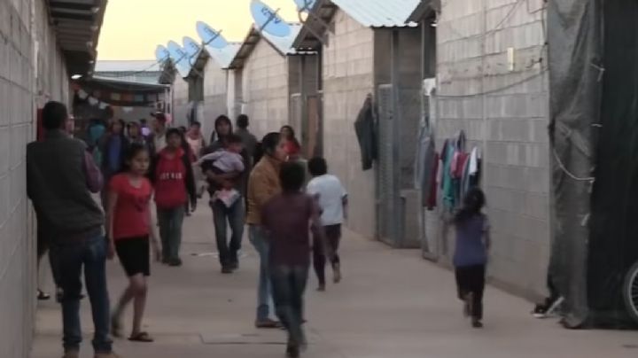 Hay jornaleros que trabajan hasta 17 horas al día en el rancho de chinos en Dolores Hidalgo