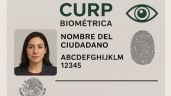 Foto ilustrativa de la nota titulada CURP biométrica no usará padrón electoral, asegura Sheinbaum