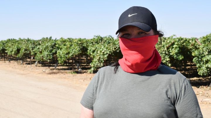 Redadas migratorias: el temor de los jornaleros en California