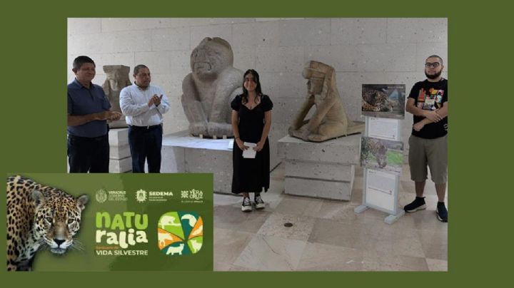 MAX y UMA Naturalia inauguraron exposición Habitar con otros