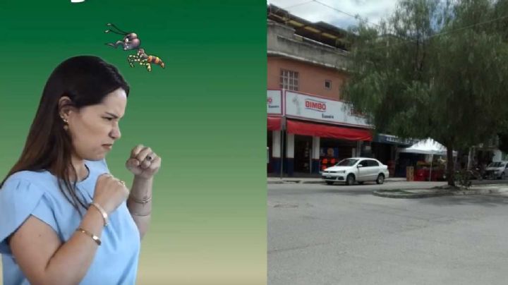 León tiene las colonias más contagiadas por dengue; salud explica cuáles son y los operativos