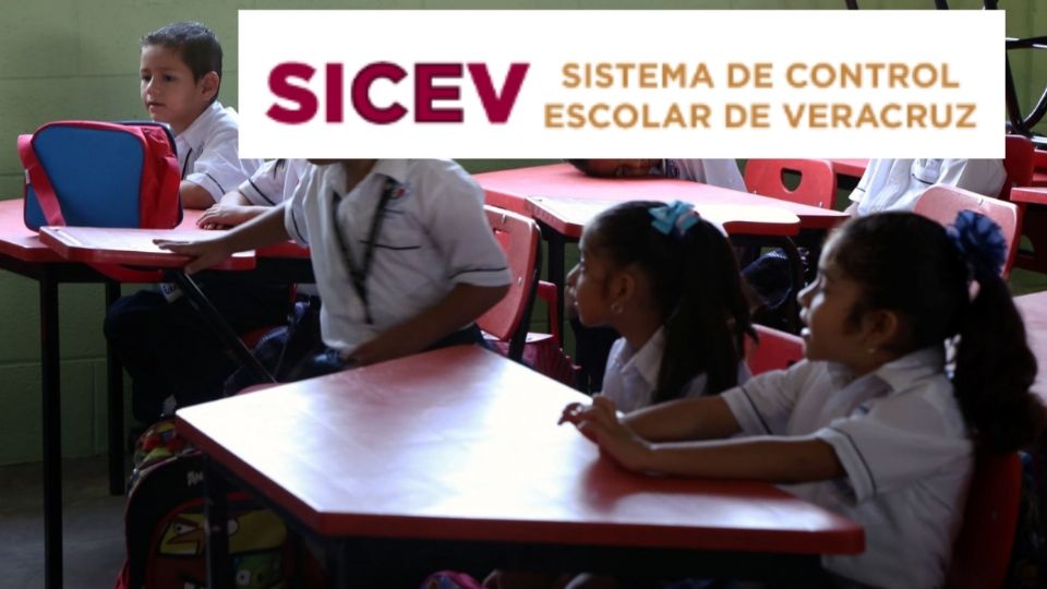 Este es el calendario oficial para el acceso al sistema SICEV
