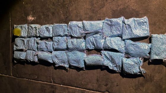 EU acusa a China de permitir lazos entre su industria química y cárteles del narco