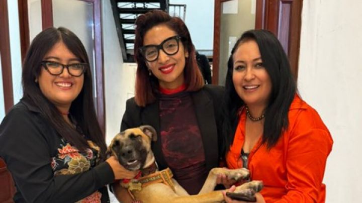 Panistas: ¡Ya suéltenme!