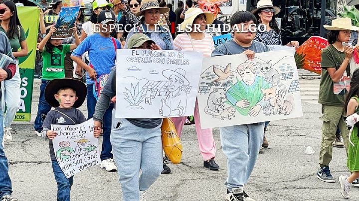 Parque solar en Epazoyucan amenaza magueyes y excluye a las comunidades, aseguran pobladores