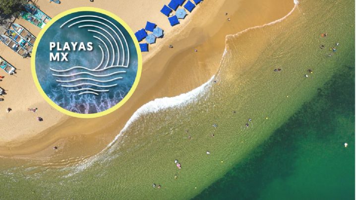 Playas MX: así podrás saber qué playa mexicana es apta o no para nadar