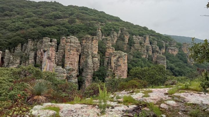 ¿Conoces “Los Panales” de la Sierra de Lobos? Así están de pintorescos por las lluvias / VIDEO