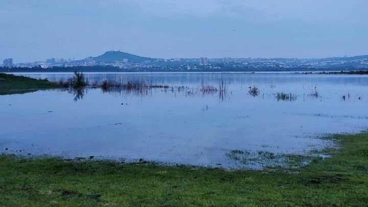 ¿Por qué está lloviendo tanto este año en Guanajuato?