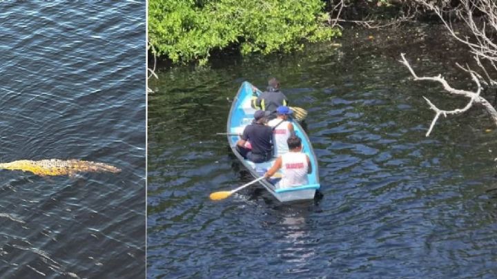 Menor guanajuatense muere al ser atacado por cocodrilo en Michoacán