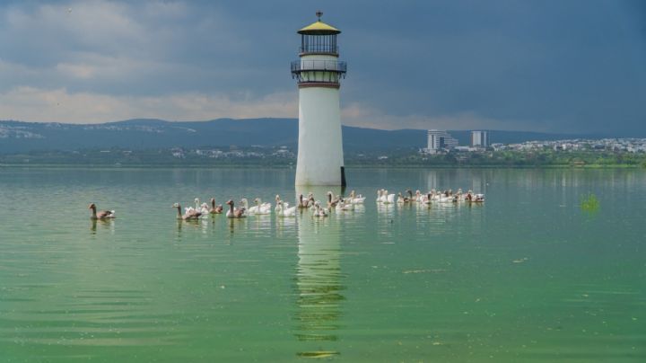 Las mejores fotos de la Presa El Palote de León, te darán ganas de ir