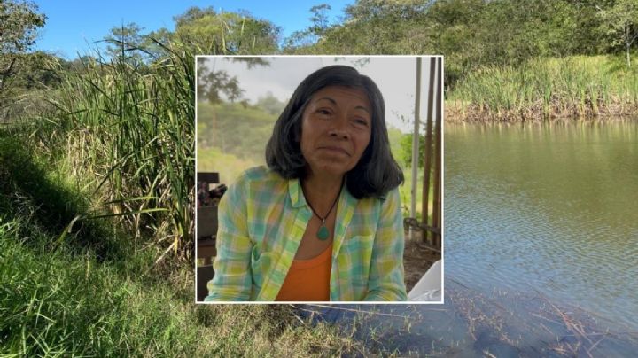 Santa Rosa Las Cruces: reducto del bosque mesófilo en Xalapa, en riesgo por crecimiento urbano