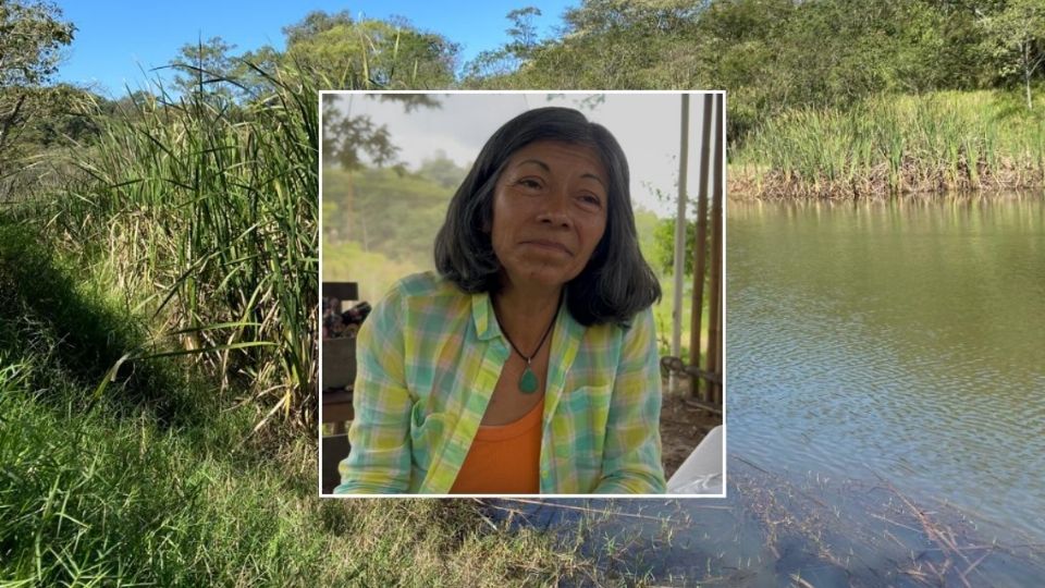 Santa Rosa Las Cruces: reducto del bosque mesófilo en Xalapa, en riesgo por crecimiento urbano