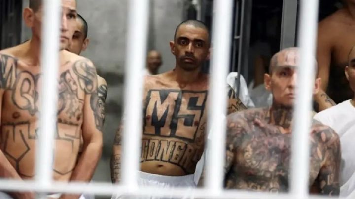 El pacto entre EU y El Salvador para acabar con la MS-13