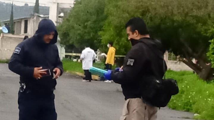 Hallan 10 perros muertos en El Huixmí, presuntamente fueron envenenados