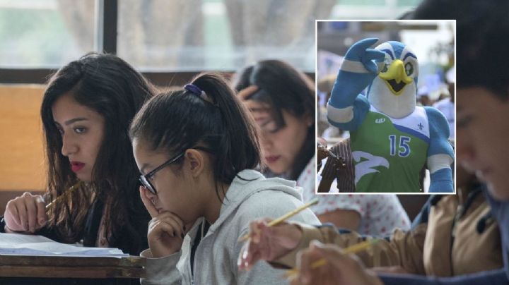 Examen de admisión de la UV: ¿Cuándo acceder a las listas de corrimiento y vacantes?