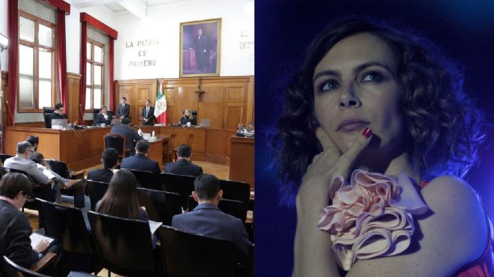 Violencia sexual infantil, Sasha y la Corte