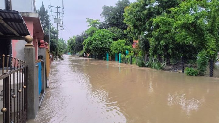 Lluvias en Tamaulipas: al menos 330 viviendas afectadas
