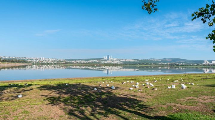 ¿Ya no se puede correr? Invade los caminos el agua de la Presa del Palote