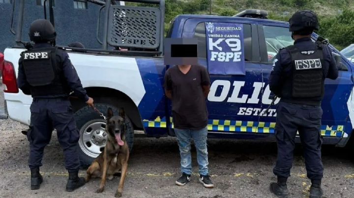 Un perro policía delata a narcotraficantes y no se corrompe; lleva 500 dosis en León