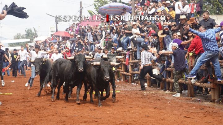 Santiagada divide opiniones: entre la identidad popular y las nuevas leyes de protección animal