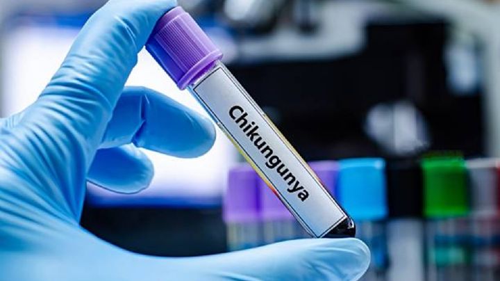 OMS alerta por chikungunya: 5,600 millones de personas en riesgo