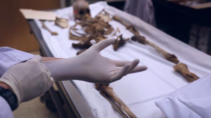 Ahora la identificación de cuerpos se hará con IA en Guanajuato