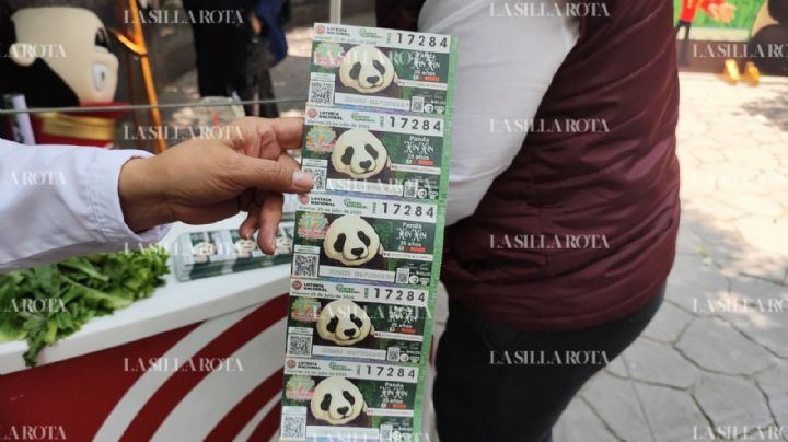 Lotería Nacional rinde homenaje a Xin Xin con sorteo especial