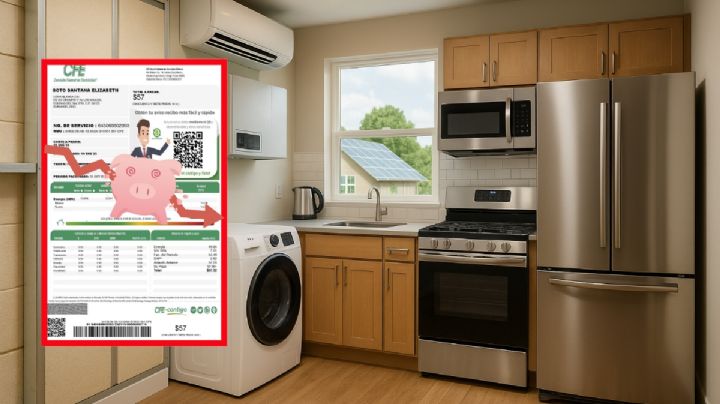 CFE: el apoyo para pagar menos de recibos de luz
