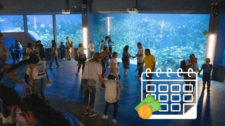 Aquarium de Veracruz: los horarios de recorridos por vacaciones de verano