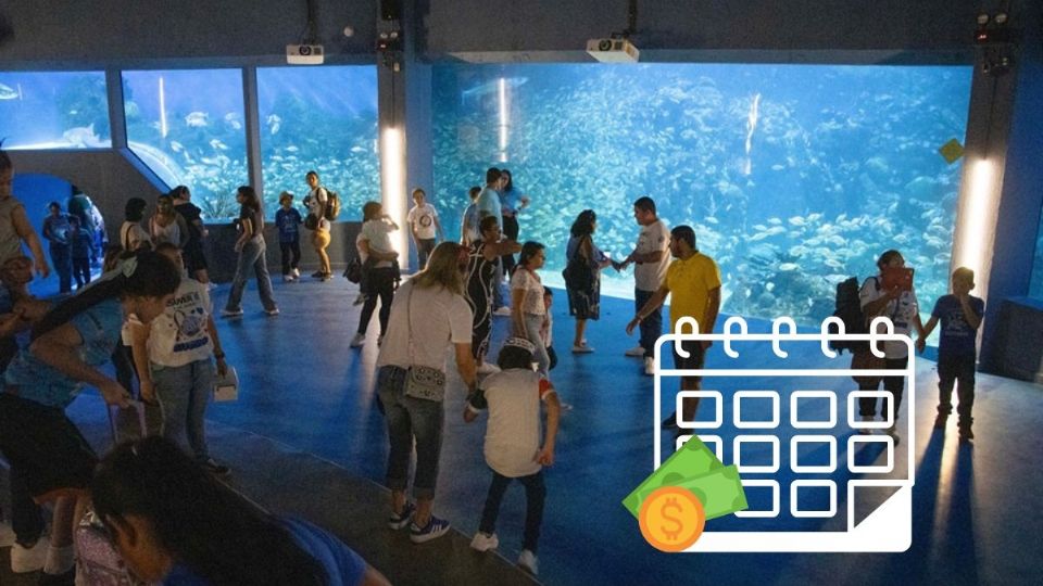 Aquarium de Veracruz: los nuevos horarios de recorridos por vacaciones de verano