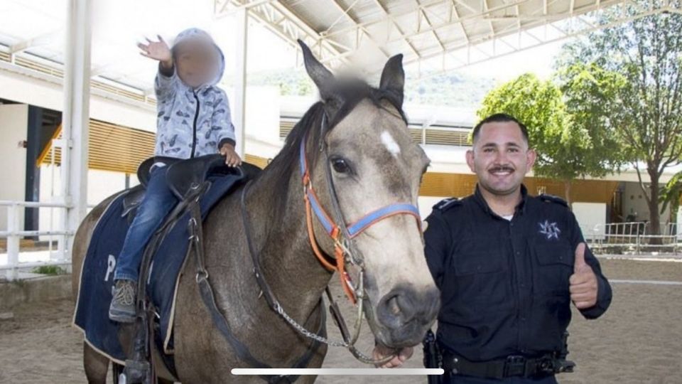 Los perros y caballos que hayan cumplido su servicio en labores de seguridad podrán ser adoptados.