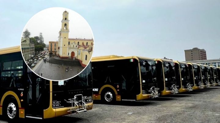¿Qué marca serán los nuevos camiones urbanos que lleguen a Xalapa?