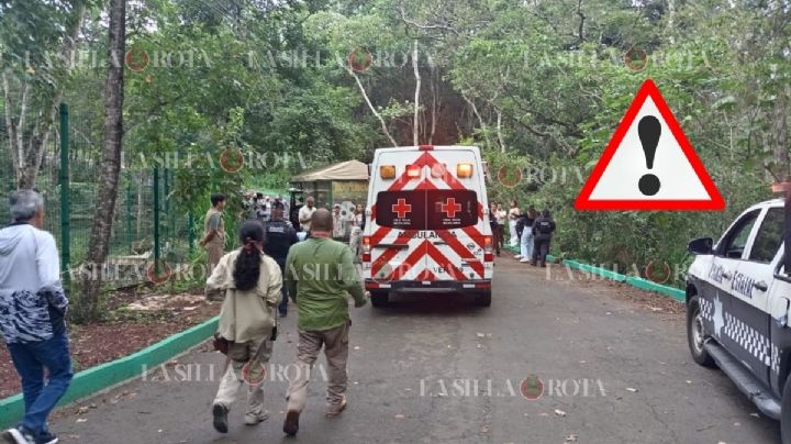 Vehículo todoterreno choca al interior del parque Naturalia de Xalapa; hay 3 heridos de gravedad