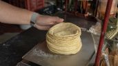 Foto ilustrativa de la nota titulada: Tortilla bajaría su precio 10% en el sexenio