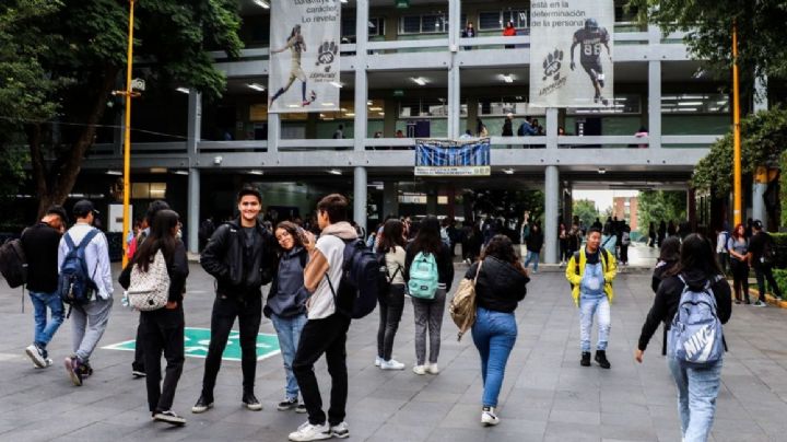 Prepas y bachilleratos: así serán las materias de los nuevos esquemas educativos