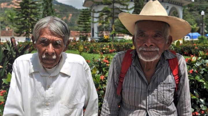 Adiós IMSS e ISSSTE: ¿por qué prefieren la Pensión del Bienestar?