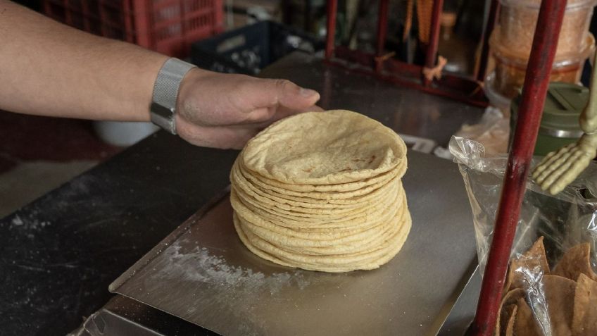 Tortilla bajaría su precio 10% en el sexenio