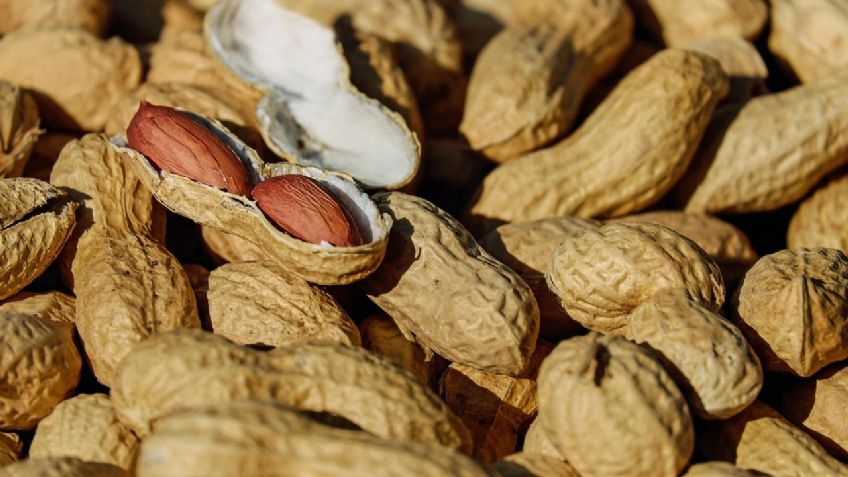 El cacahuate del futuro: la apuesta genética de Mars contra el cambio climático