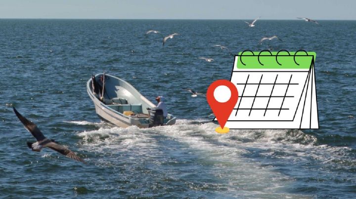 Estos municipios de Veracruz no pueden pescar robalo por veda, durante un mes