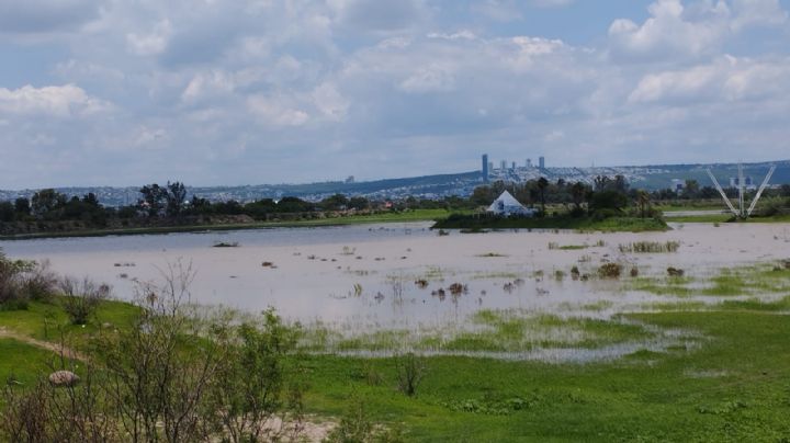 Nanotecnología en Presa de Echeveste; SAPAL explica el avance del proyecto
